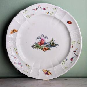 Fürstenberg Factory Circa 1760 - Table Plate - Ornithological Decoration - Porcelain
