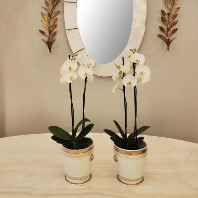 Pair Of Paris Porcelain Planters, 1830