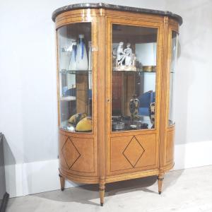 Speckled Maple Display Case 