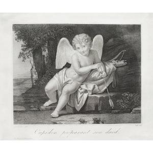 Mythological Etching Cupid Engraving By Weiss After Stephano Tofanelli 18th C Old Print