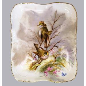 Limoges Haviland Hand Painted Porcelain Plate Crested Birds Decor 1891