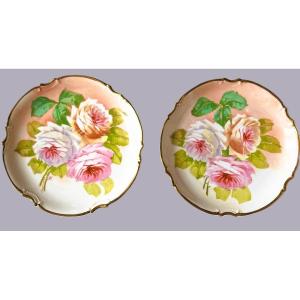 Pair Of Hand Painted Porcelain Plates Decorated With Roses 