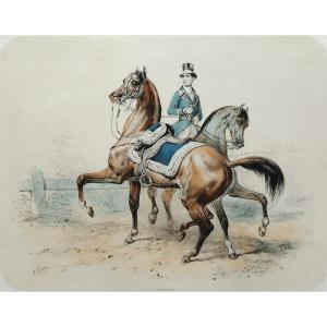 Horses Lithograph By Adam 19th C Old Print