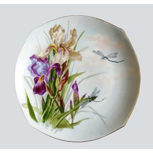 Hand Painted Porcelain Plate Irises Dragonflies Signed Dated 1904 Art Nouveau