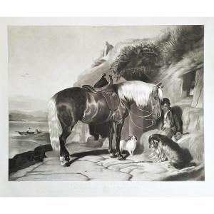 Engraving By Thomas And Edwin Landseer Pony And Spaniels 19th C Etching Old Print