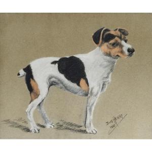 Jack Russell Terrier Dog Pastel By Berthe Henry 20th Century Animal Portrait