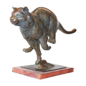 Jean-marc Bodin, Galloping Tiger