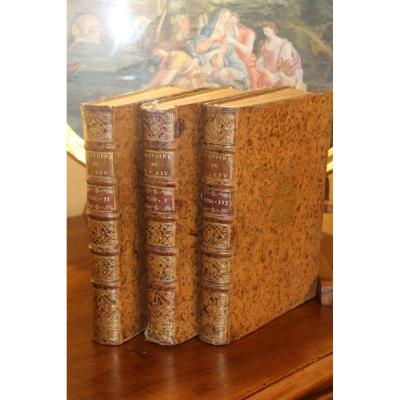 History Of The Reign Of Louis XIV Nicknamed The Grand, Roy Of France