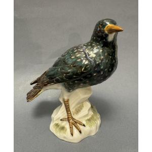 Meissen Porcelain Starling Bird 
