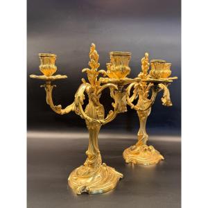 Pair Of Gilt Bronze Candelabra With Rocaille Decoration By Colin Et Cie.