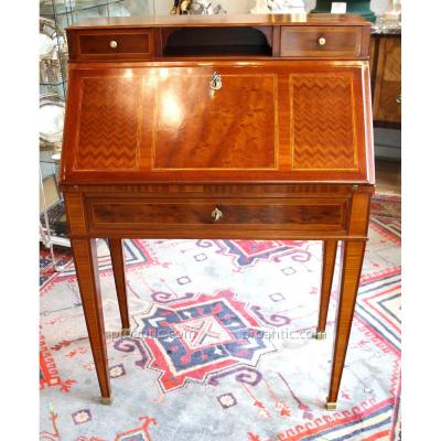 Slope Office Of Louis XVI Style Nineteenth