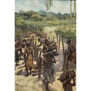 Norman H Hardy (1864-1914) - Congo, Gathering Firewood, Circa 1907