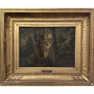 Camille Roqueplan (1803-1855) - Study, Fontainebleau Forest - Oil On Paper