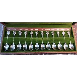 Box Of 12 Royal Horticultural Society Silver Flower Spoons
