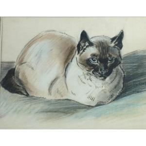 Charles Piot "siamese Cat" Colored Pencil Drawing/paper