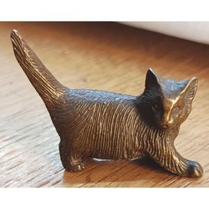Small Bronze Cat