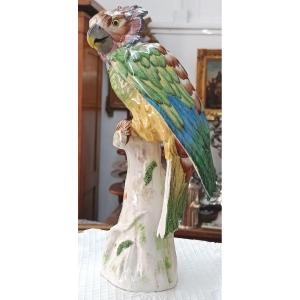 Crested Parrot In Paris Porcelain