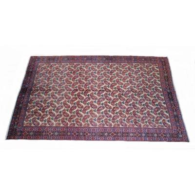 Afchar Persian Rug 293cmx185cm