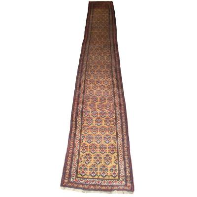Hallway Rug Antic  Shashavan 553cmx77cm