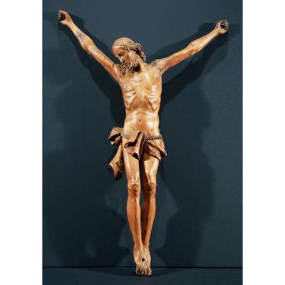 Christ In Carved Wood. Italy End Of XVIth Century