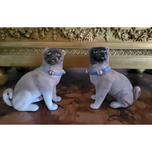 Pair Of German Porcelain Pugs, 19th Century Period 