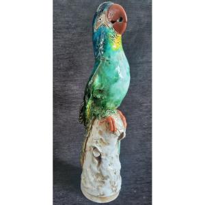 Large Parrot Enamelled Ceramic Early 20th Century