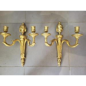 Paire Of Wall Lights Louis XVI  H43cm XIXe 