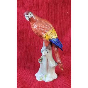 19th Century Capodimonte Porcelain Parrot 