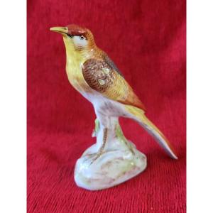 Paris Porcelain Bird, Locre Manufacture, 19th Century 