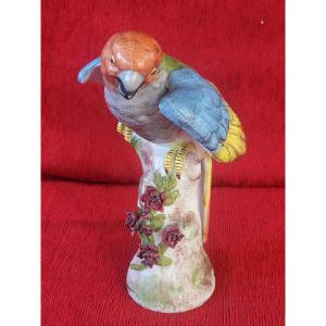 Porcelain Parrot From Locre Paris, 19th Century 