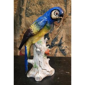 German Porcelain Parrot C.1900