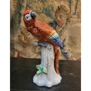 German Porcelain Parrot From The 19th Century 