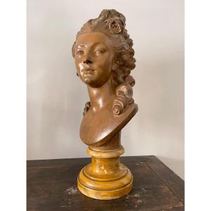 Terracotta Bust "la Camargo"