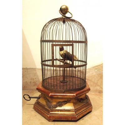 Songbird Cage