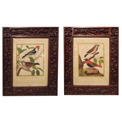 A Pair Of Engravings, Birds