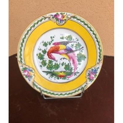 Porcelain Plate