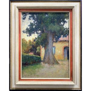 Albert Regagnon (1874-1961) - Villeneuve-durfot, Ariège 