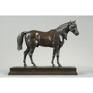 Horse "half-blood Head Raised" - Antoine-louis Barye (1796-1875)