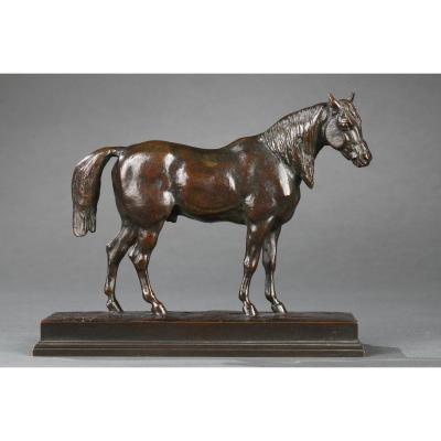 Demi-sang Tête Levée - Antoine-louis Barye (1796-1875)