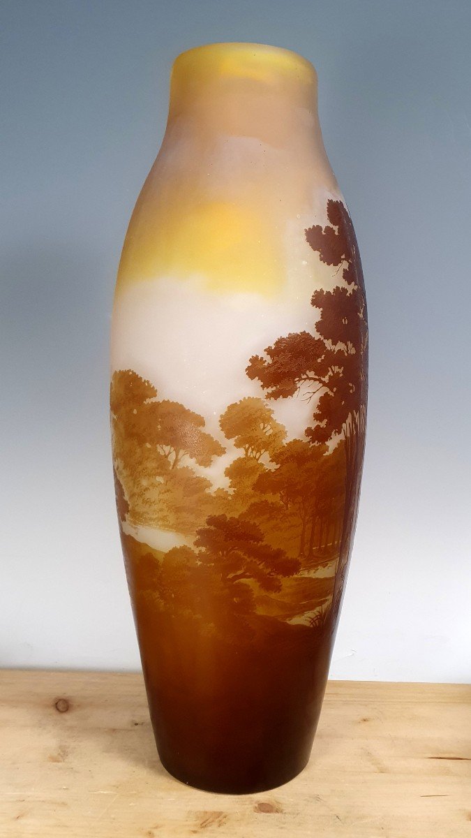 Monumentale Gallè vaso paesaggio -photo-3
