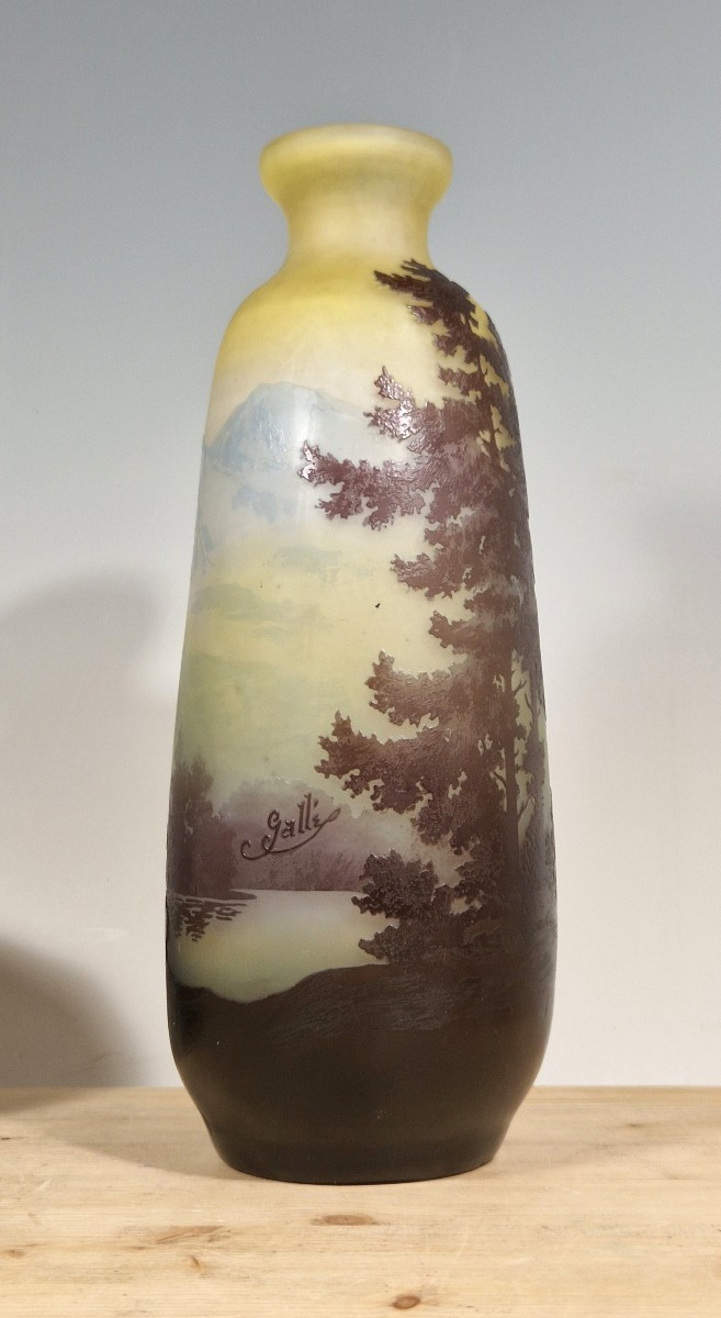 Vaso Gallé-photo-4