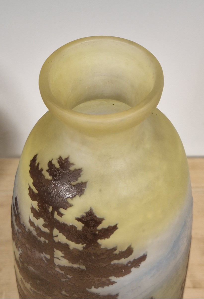 Vaso Gallé-photo-6