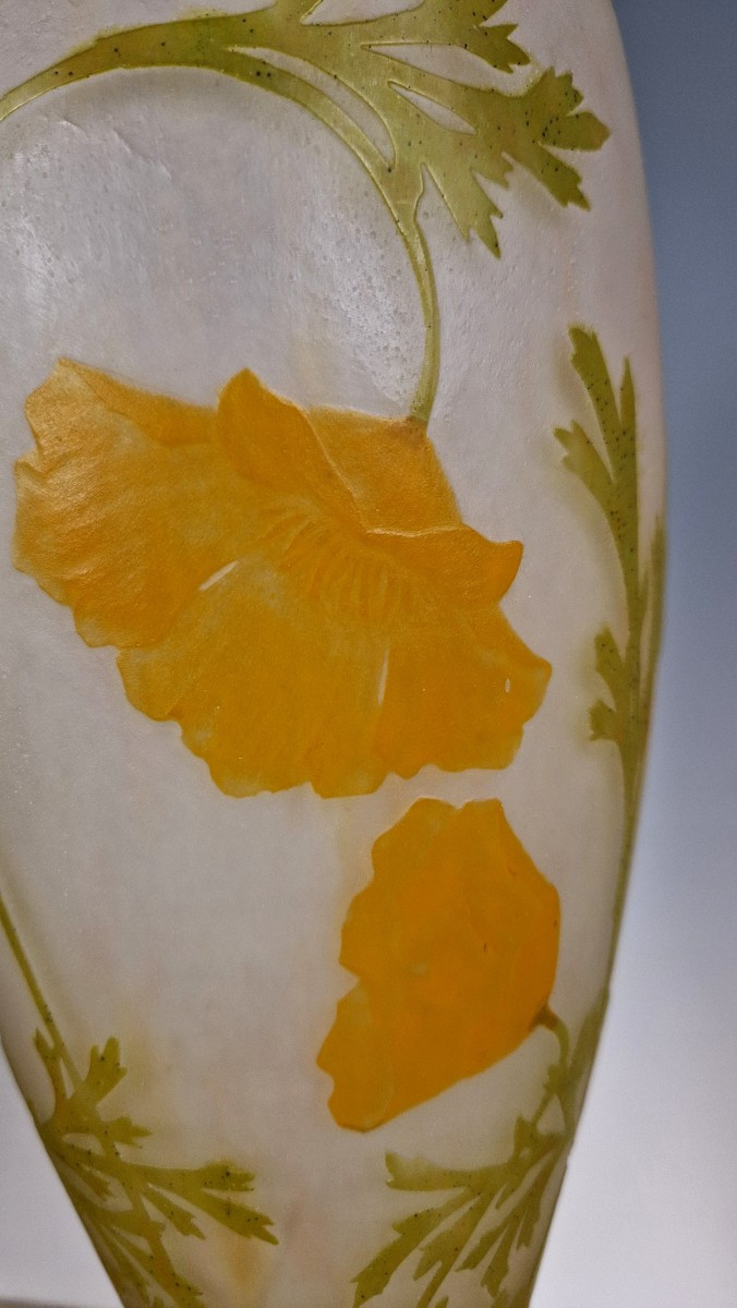 Daum vaso-photo-7