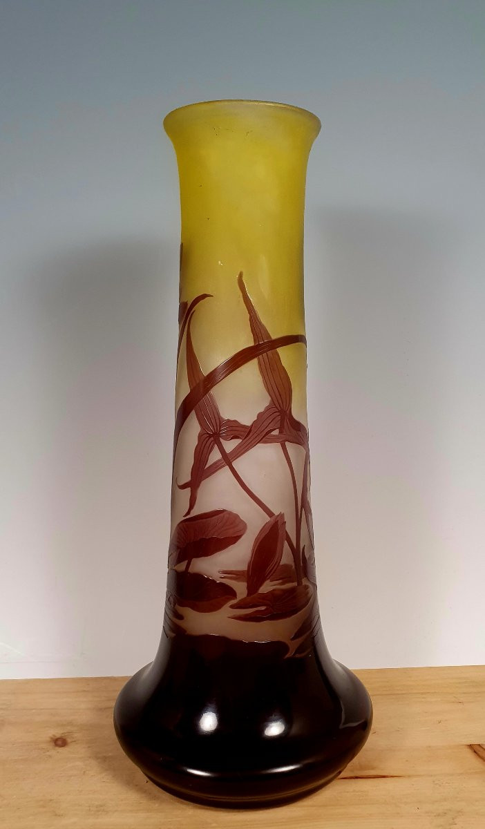Gallé vaso-photo-3