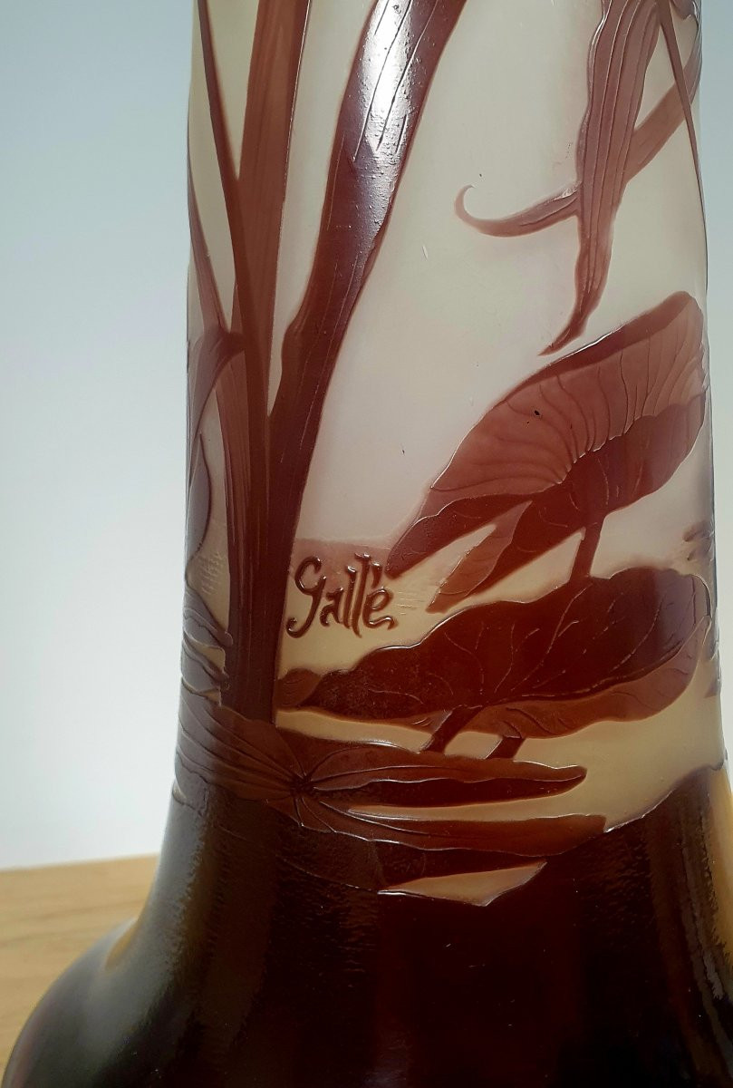 Gallé vaso-photo-2