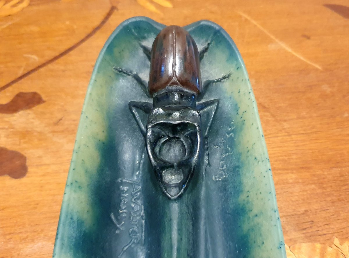 Amalric Walter calamaio-photo-1