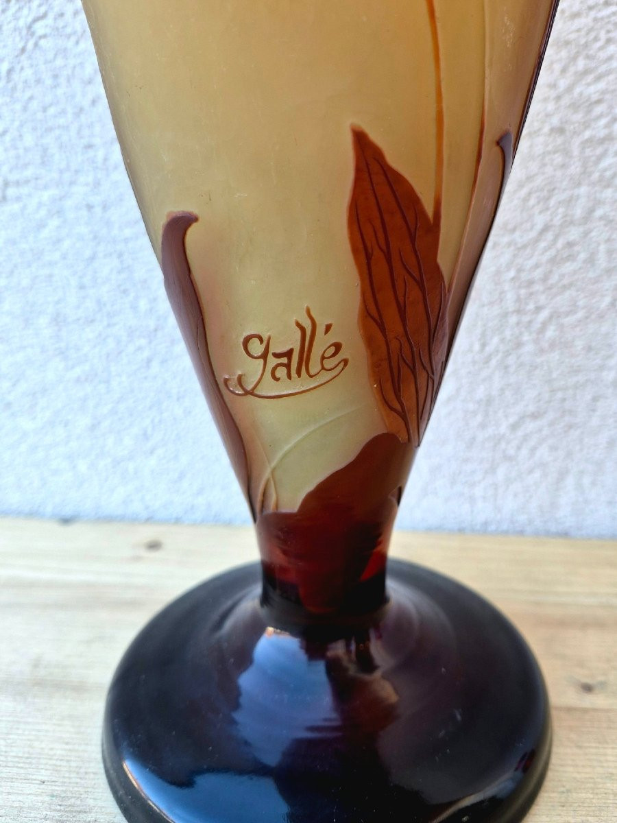 Gallé vaso-photo-1