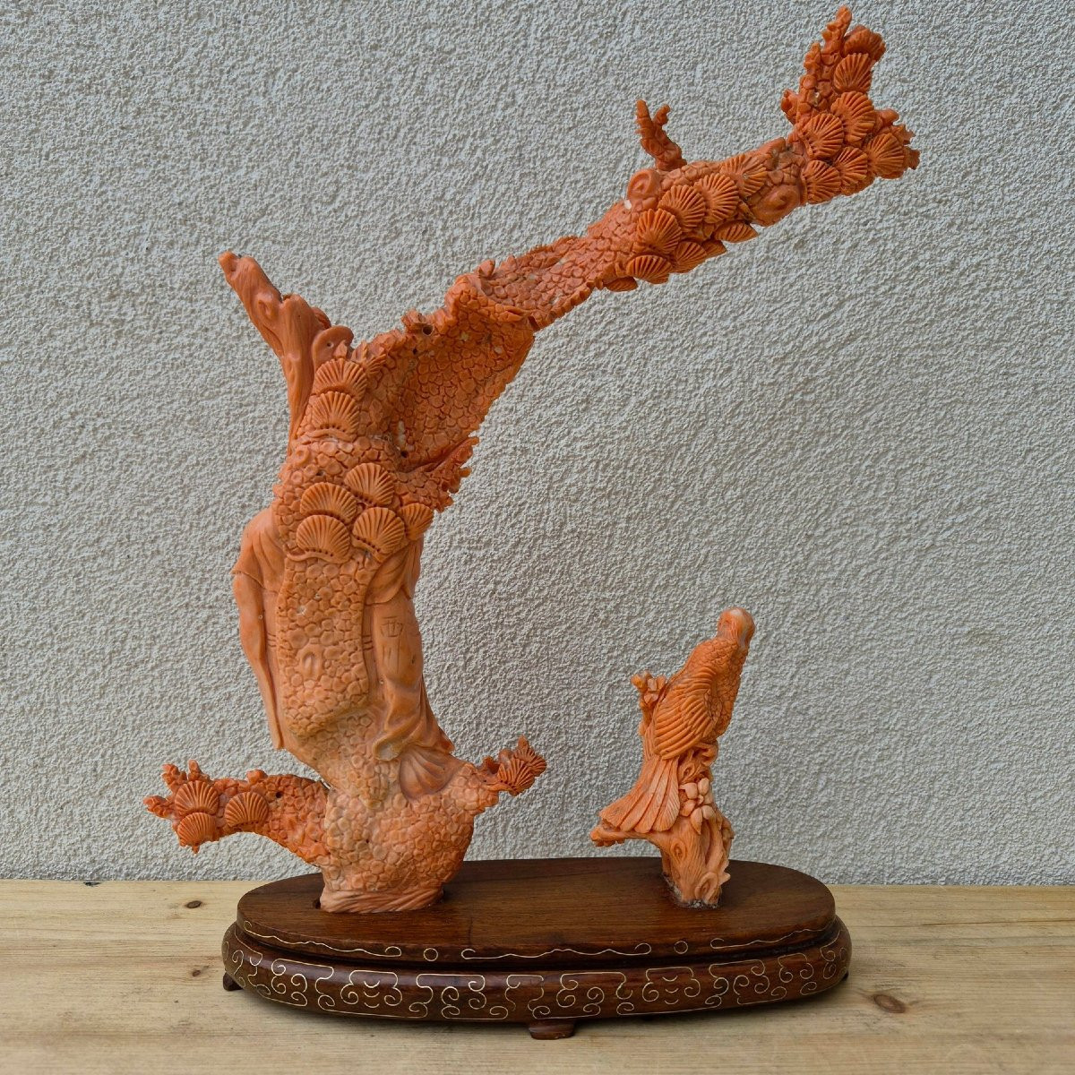 scultura in corallo-photo-2