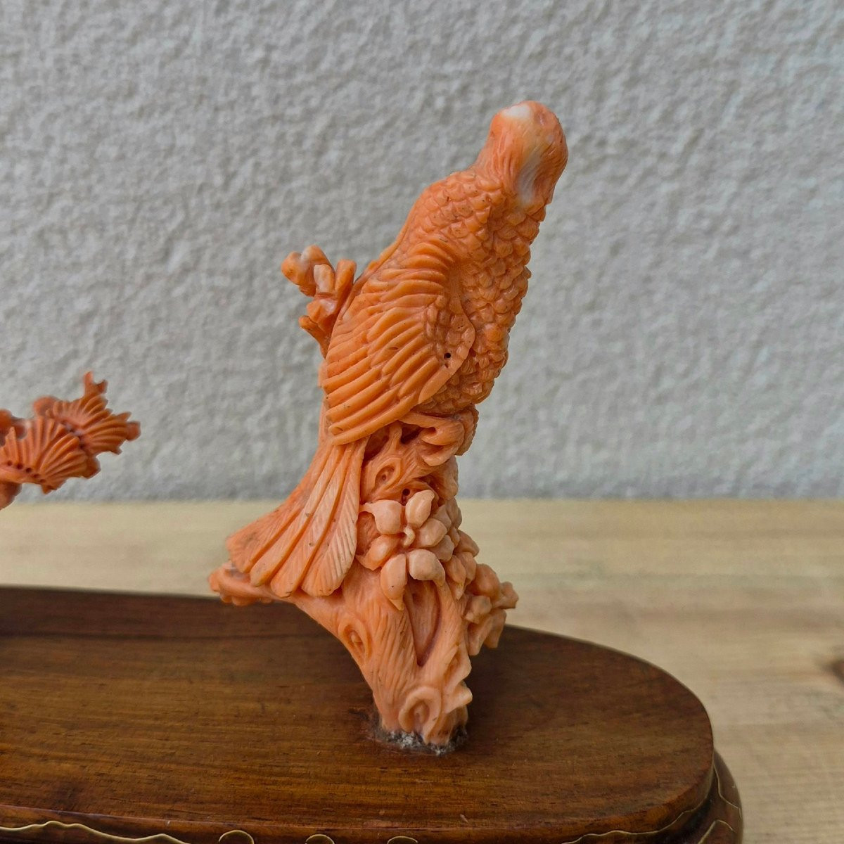 scultura in corallo-photo-3
