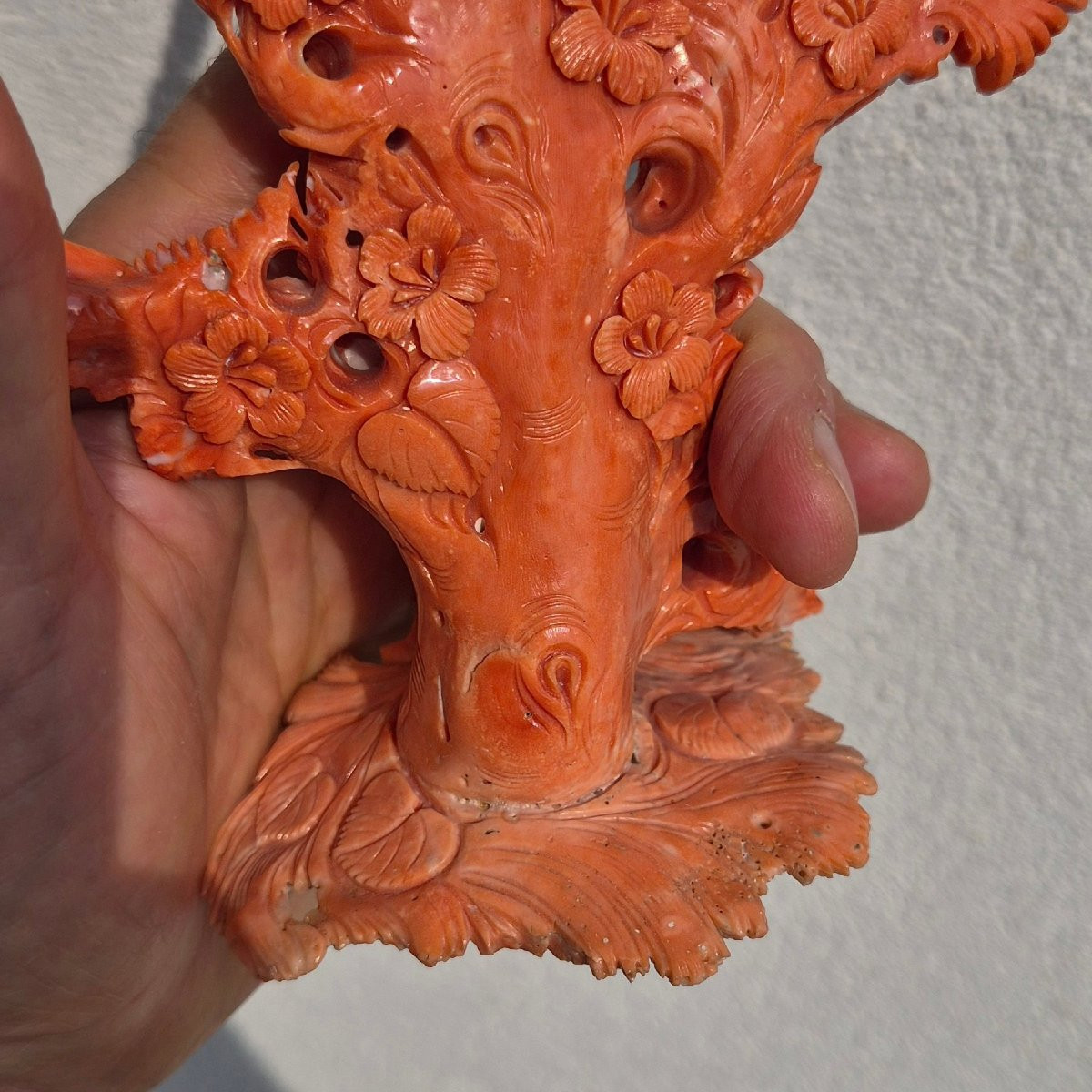 scultura in corallo-photo-2